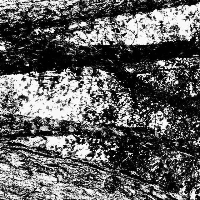 Bifurcate