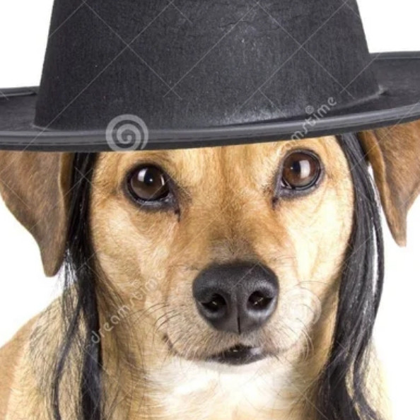 congoloose