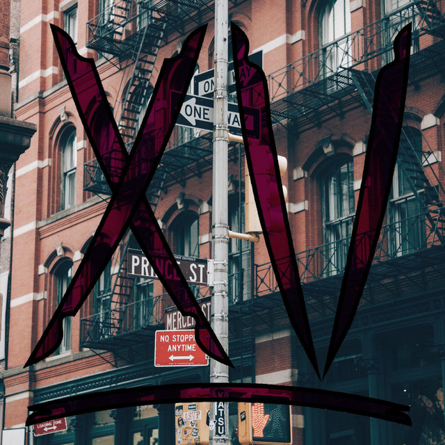 XVoiDA