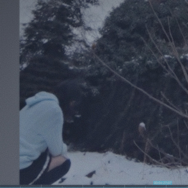 GRAV3YARD artist photo