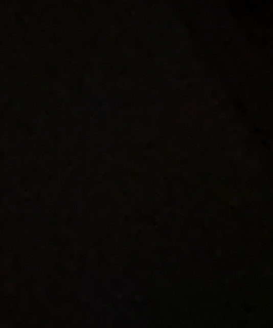 Milo_mlk