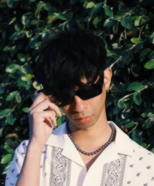 Max Loui$