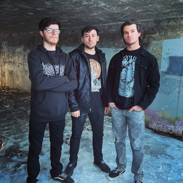 Biting Bullets | Spotify