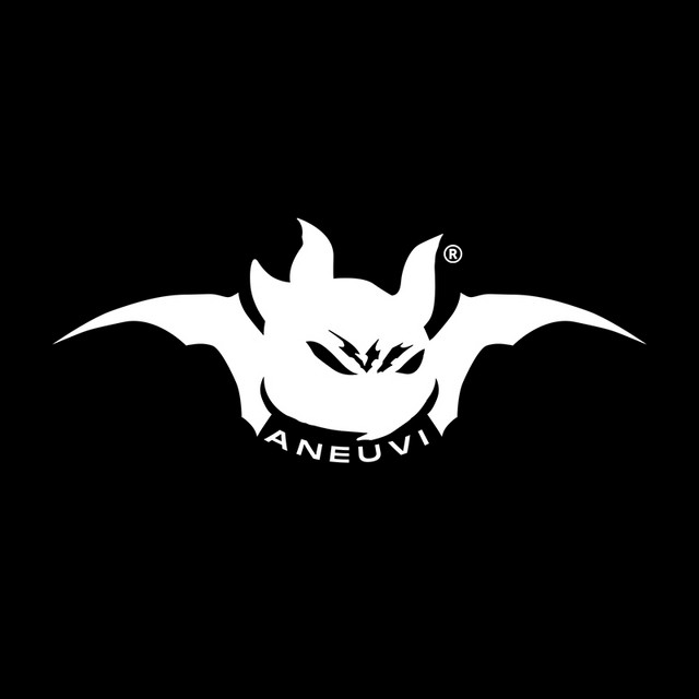 Aneuvi VI