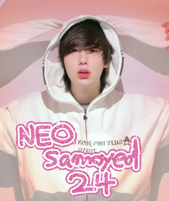 NEOsamoyed24