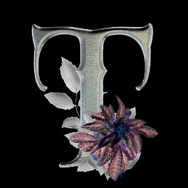 Tsukii HiFi | Spotify