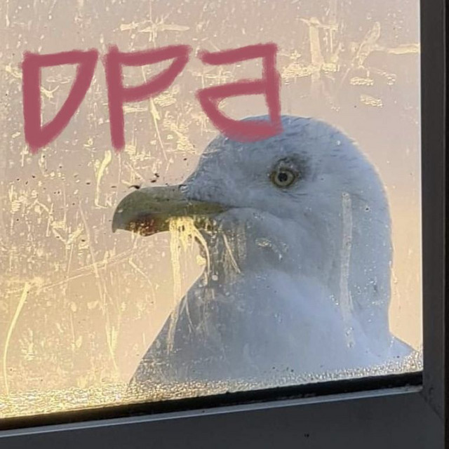 Disappearing Act