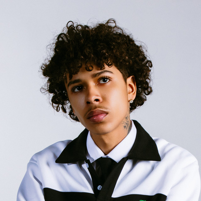 Musik Artist Luh Tyler