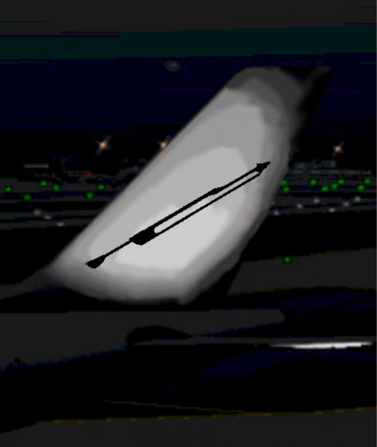 Lance of the Knights
