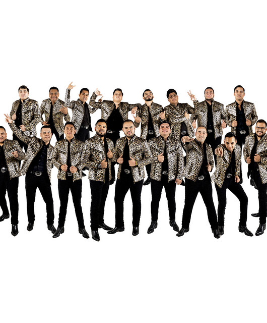 Banda Renovacion image