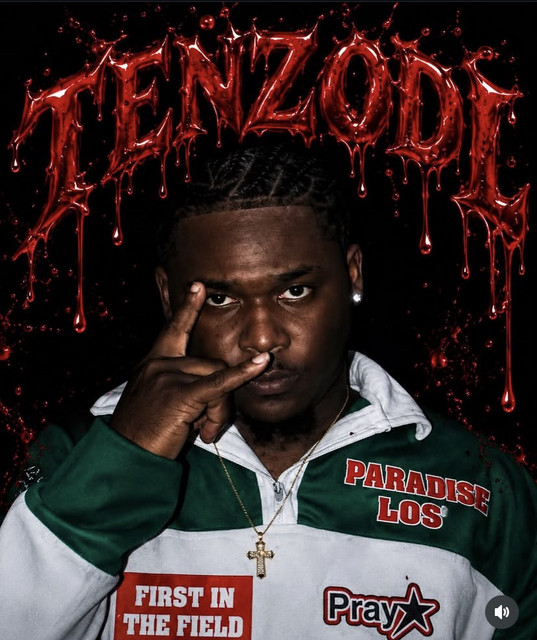 TENZODL