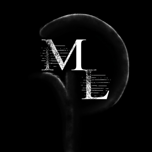 Material Loss