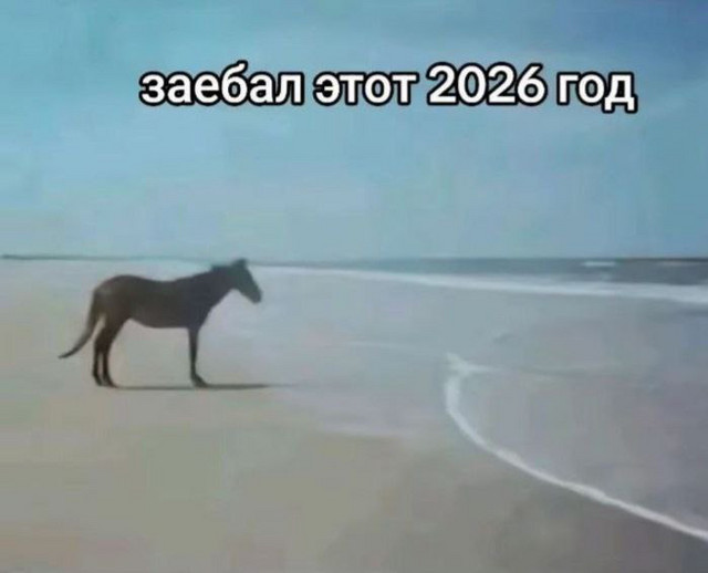 shmxntxna