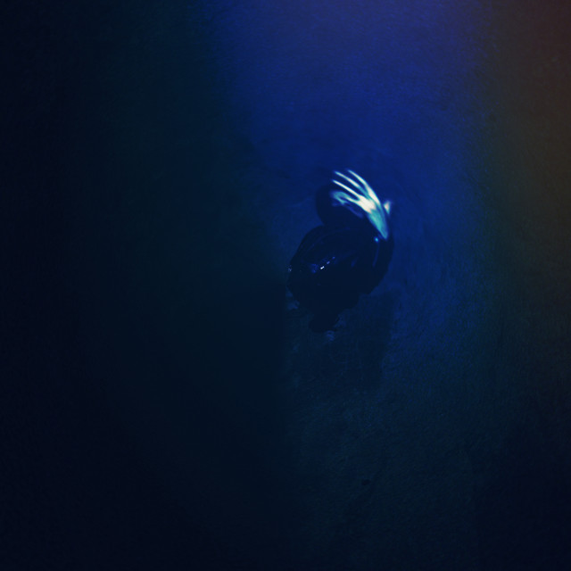 Ultraviolent Blue