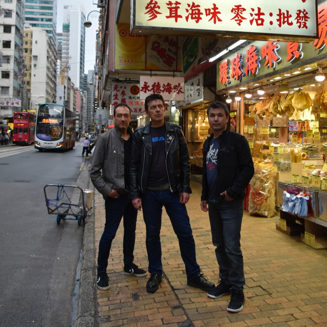 Neuroot photo