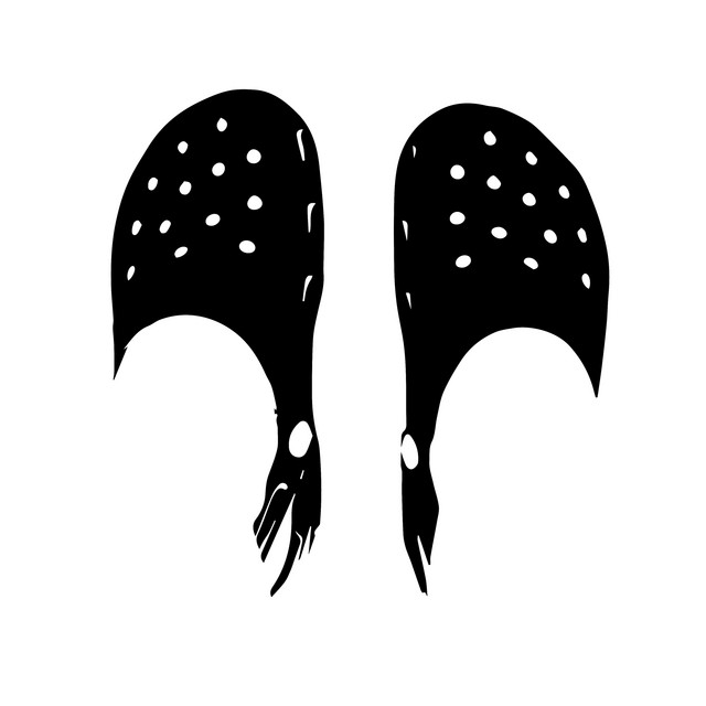 CrocsNSocks
