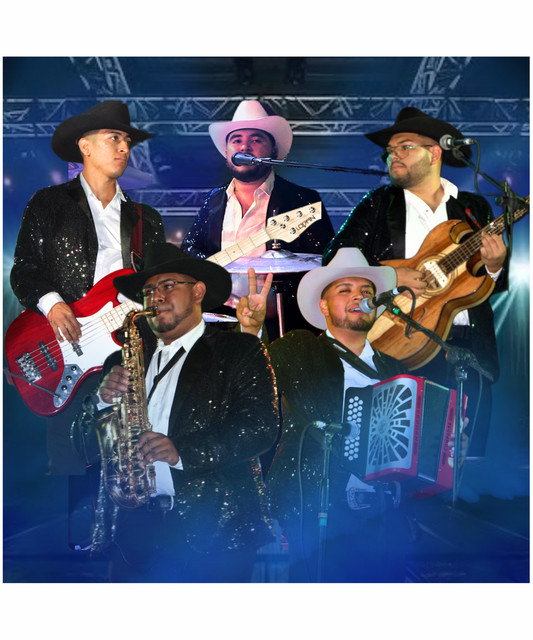 Stilo Bravo