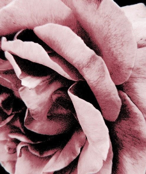 absence!