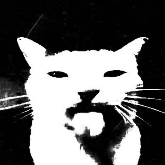 vhsskii