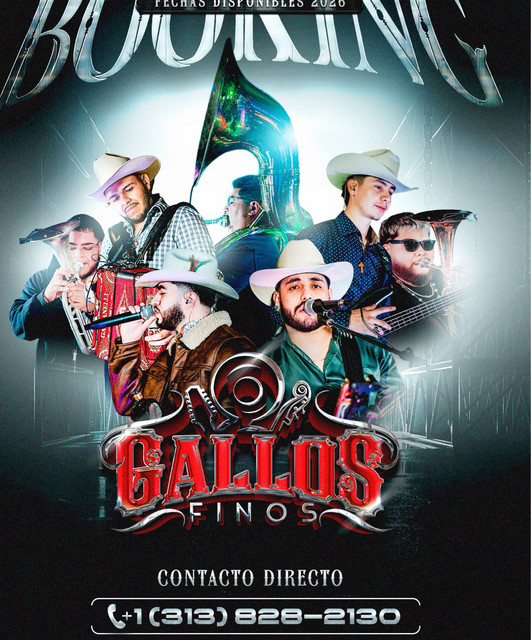 Gallos finos