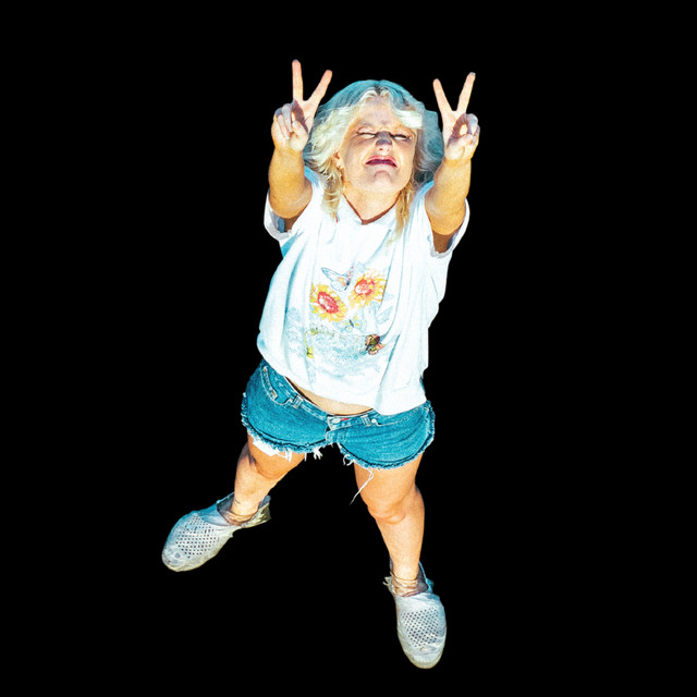 Amyl and The Sniffers image