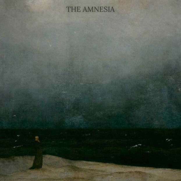 THE AMNESIA