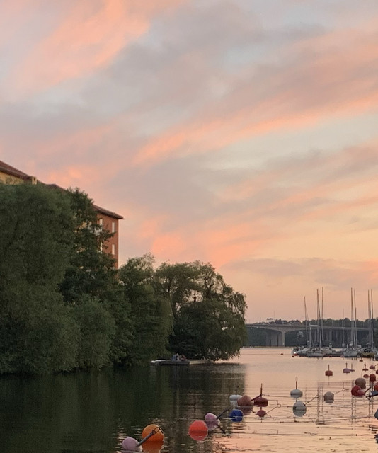 dusk image