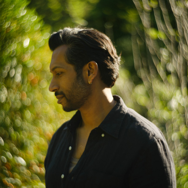 Hrishikesh Hirway image