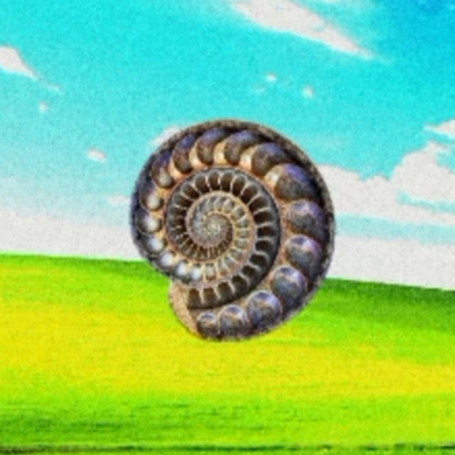 Z.E.M.S