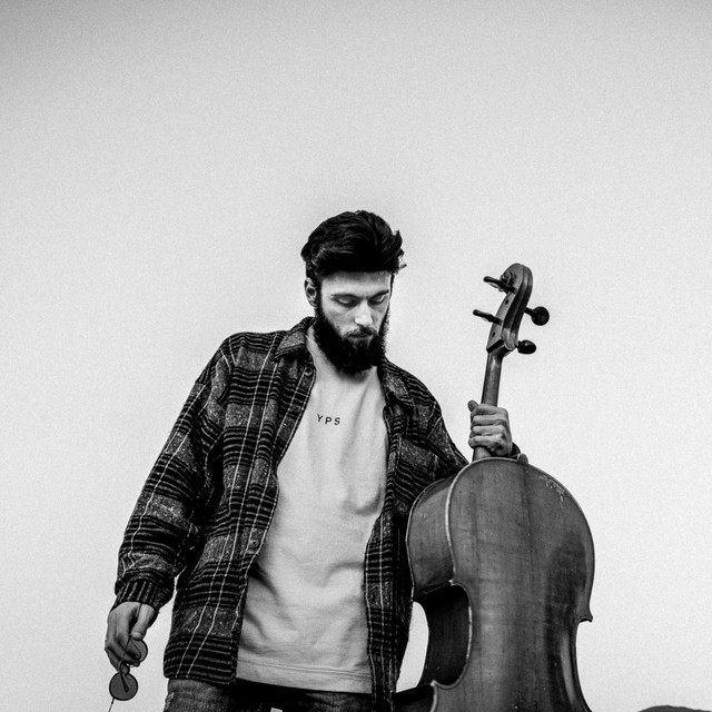 Sugar Cello