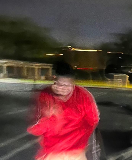 Ruff Swami