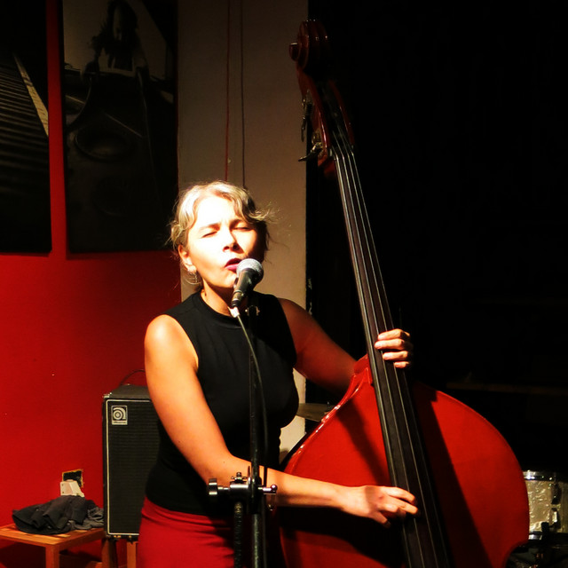 Amanda Irarrazabal image