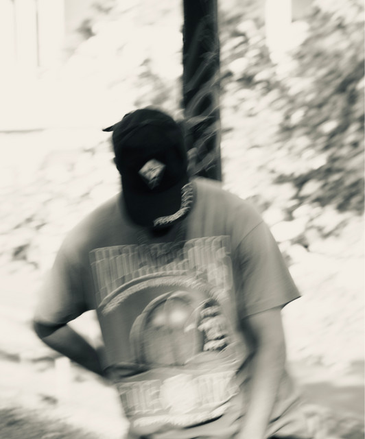 Solomando