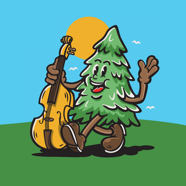 High Country Hustle band image