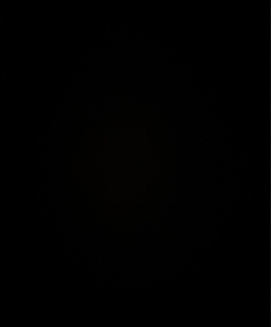 Shane foster country