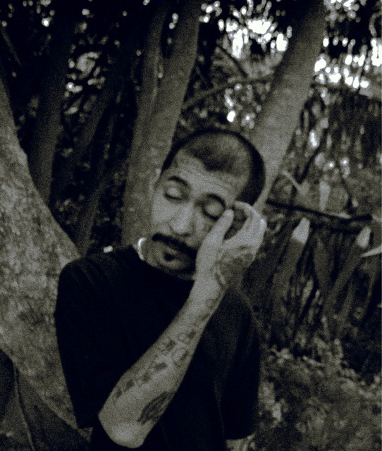 NIKITO Labrae