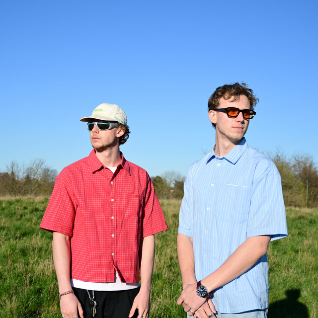Palm Skies