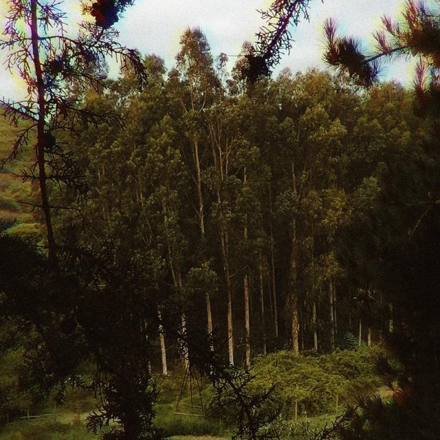 Franz Pinner | Spotify