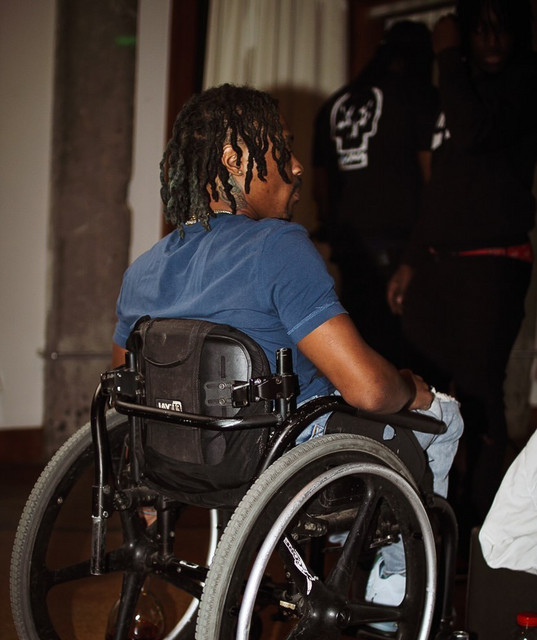 WheelChair Goat image