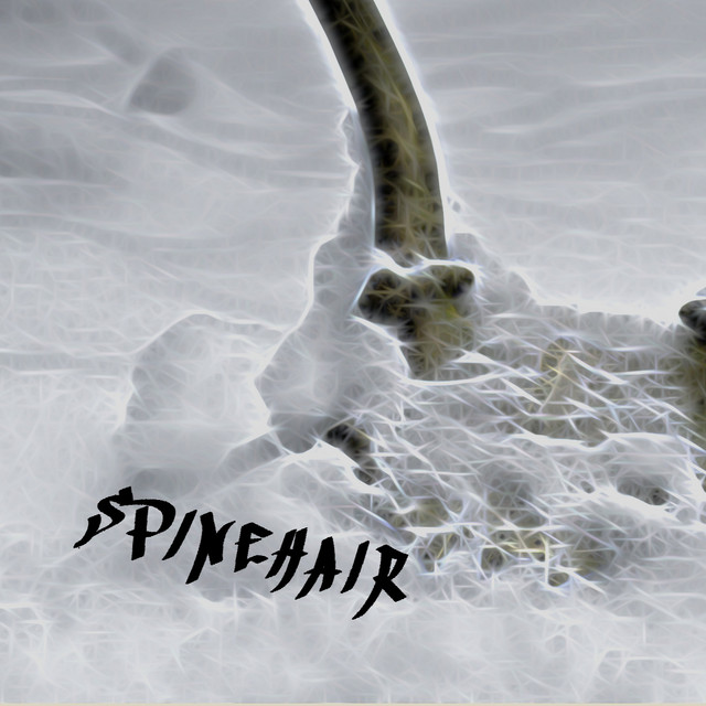 Spinehair