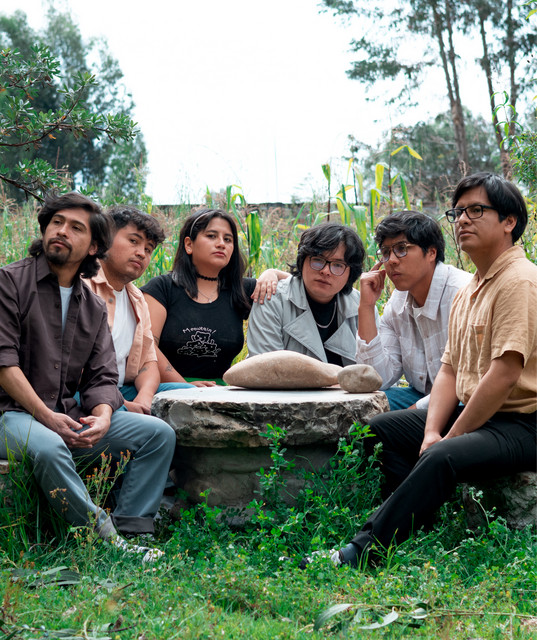 Los Animals Image
