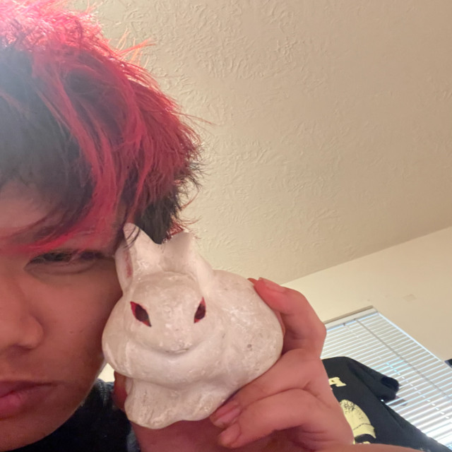 bunni below