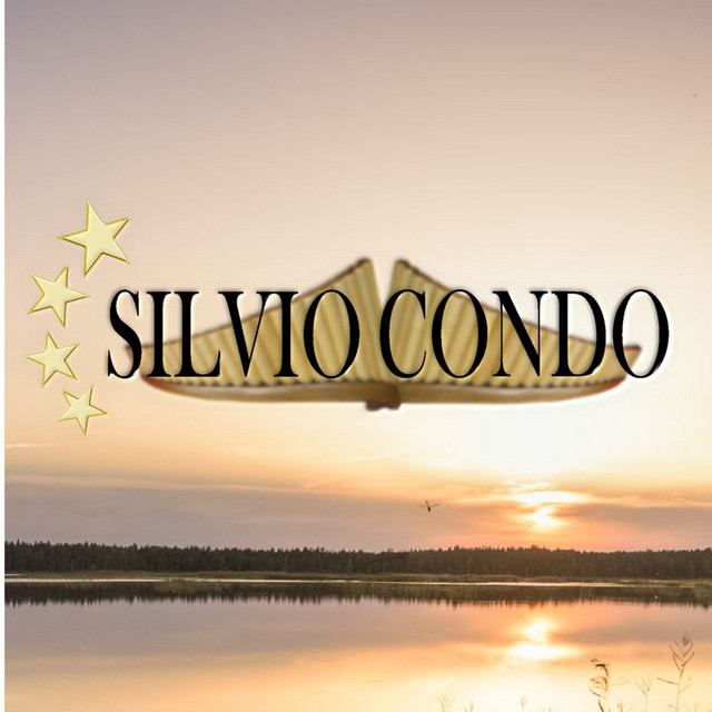 Silvio Condo image