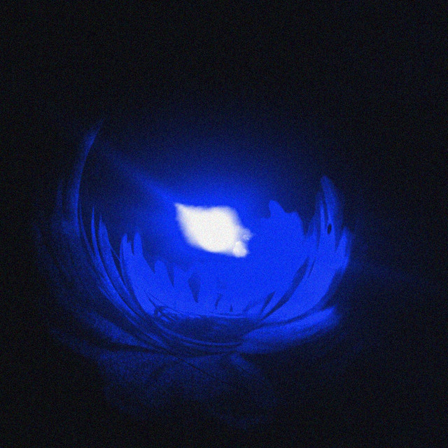 JDisk