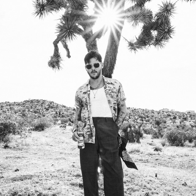 Wavves image