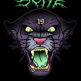 Slyye profile