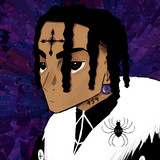 954mari profile
