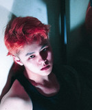 Lucidic profile