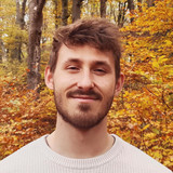 N-Determine profile