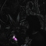 ZX | Spotify